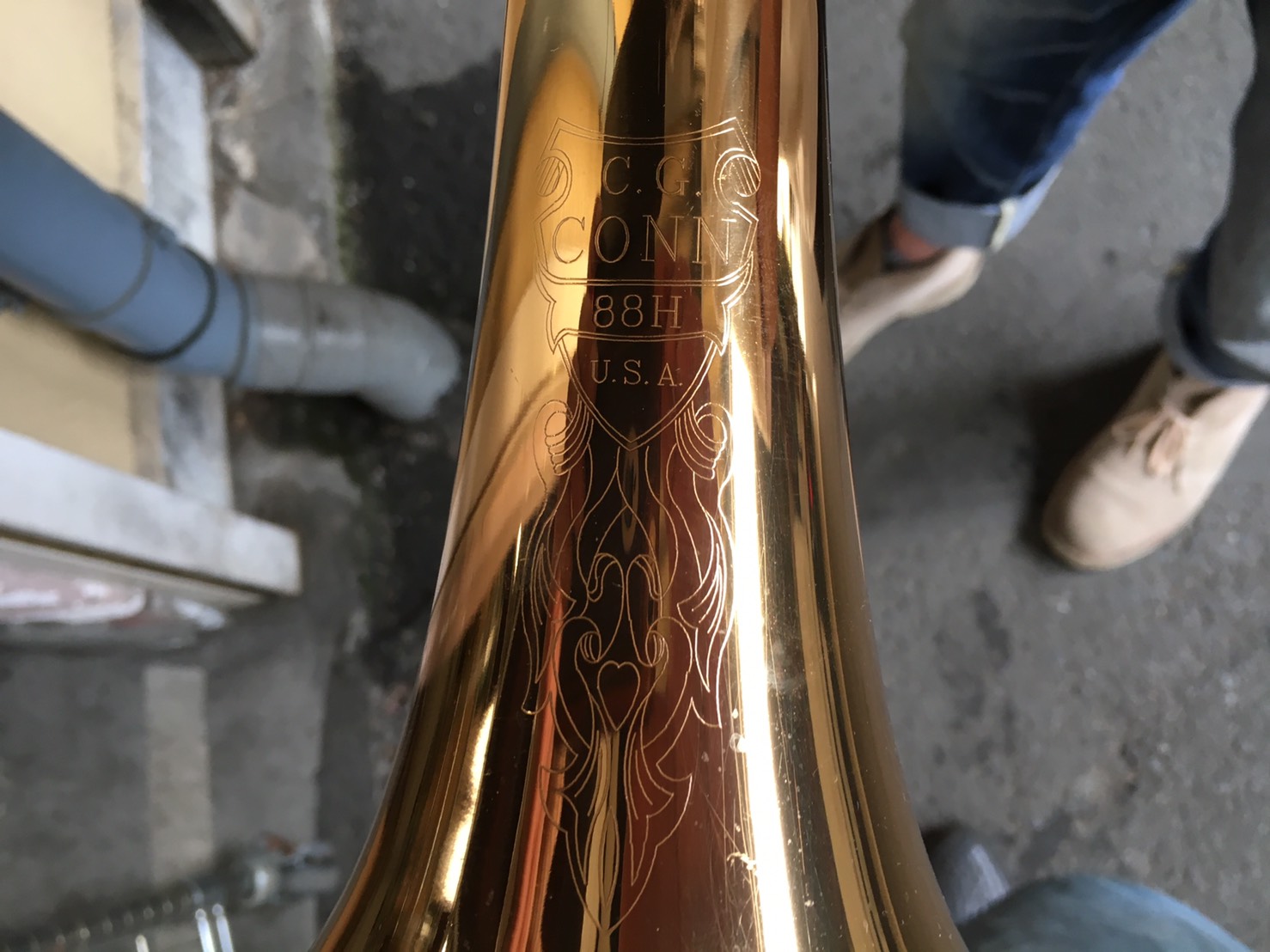 シージーコーン（88H）