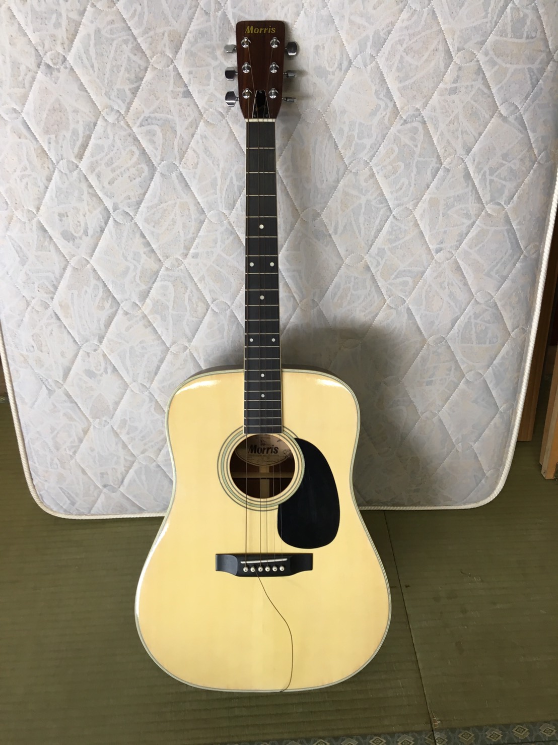 MORRIS(モーリス)のアコースティックギター