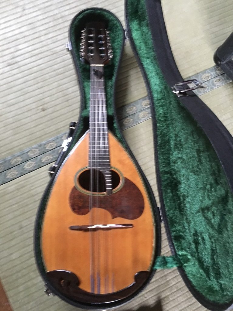 トラベルギター